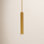 Carpi Single Light Metal Dimmable Pendant