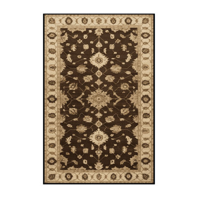 Machine Washable Overdyed Brown Area Rug