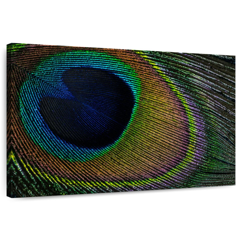 Brampt Peacock Plummage, 32" H x 48" W