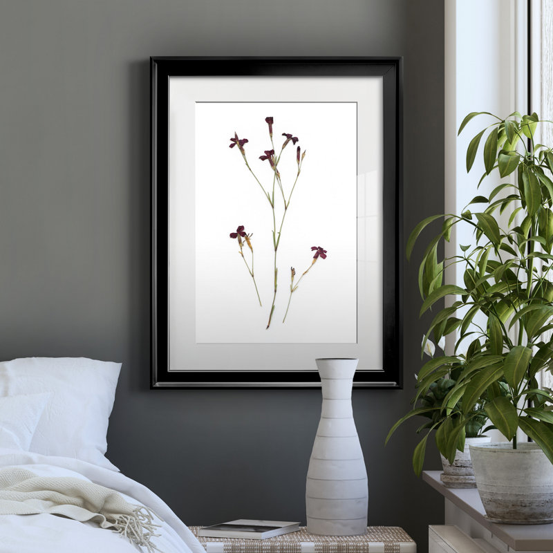 Pressed Botanical II par J Paul - reproduction d'art sur papier encadrée, Cadre noir, H 18,5 po x l 24,5 po x P 1,5 po