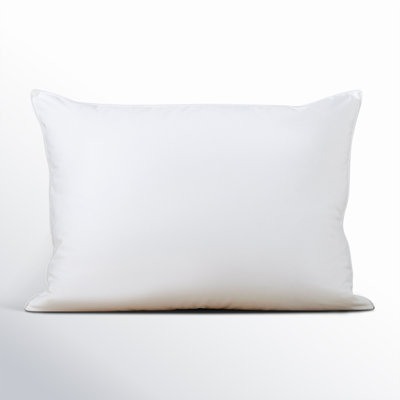 Terron Plush Down Pillow