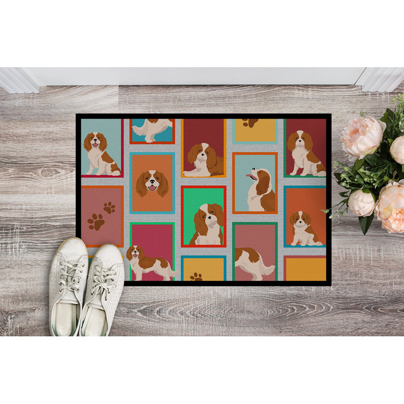 Nermal Non-Slip Doormat, 24" W x 36" L