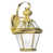 Laiton poli