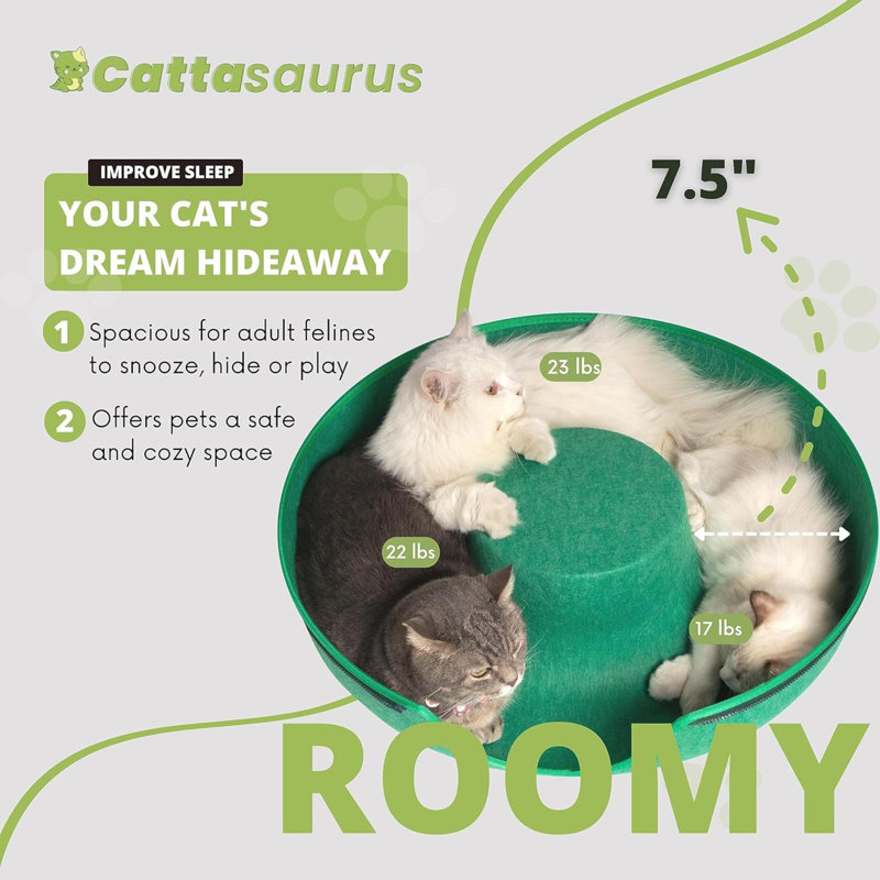 Lit pour chat Peekaboo, Grande taille: L 24 po x l 24 po, Vert