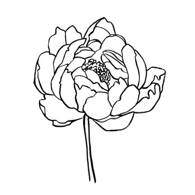 Peony Shape I by Emma Scarvey - Wrapped Canvas Painting