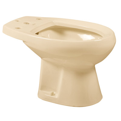 Cadet Elongated Floor Mount Bidet