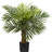 Faux Palm Tree in Pot Liner-1716025063