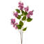 Vaporisateur lilas 40 "Spring Cut -1529799527
