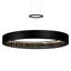 Matte Black LED Chandelier – Modern Minimalist Dimmable Ceiling Light Fixture-1172230943-1172230941