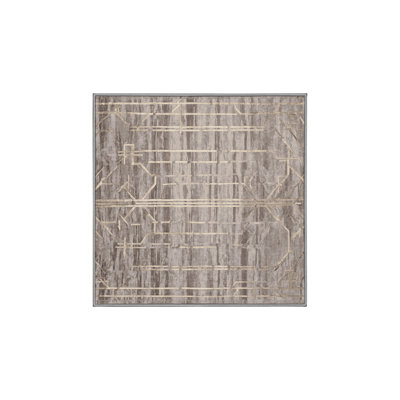 Machine Washable Grey Area Rug