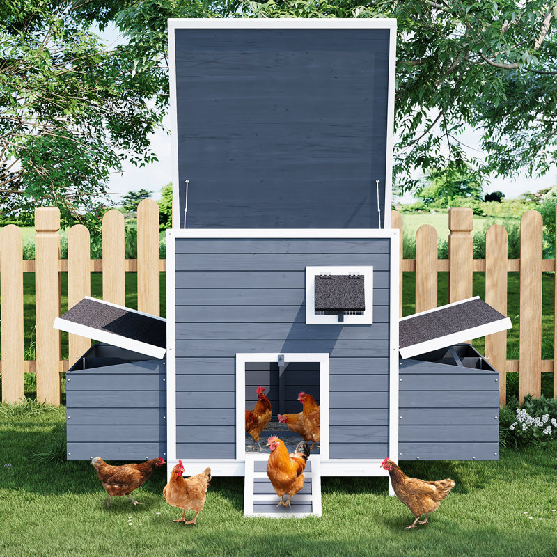 Chicken Coop