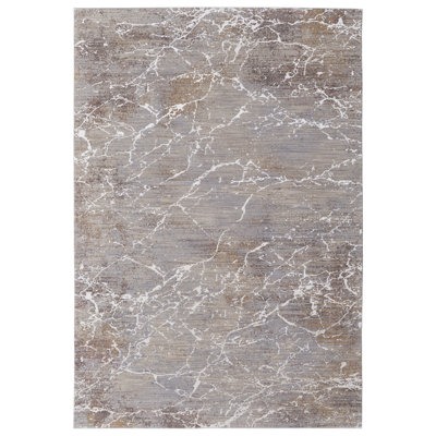 Rhun Abstract Indoor Rug