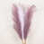 Lavender/Light Purple