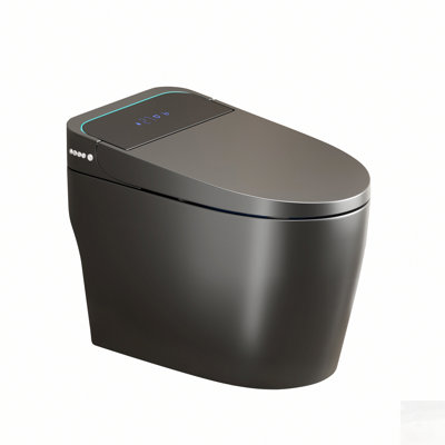 Toilette intelligente unique avec bidet intégré, siège à ouverture / fermeture automatique, eau chaude et sécheuse, gris
