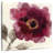Harnek Crimson Peony I-109227842