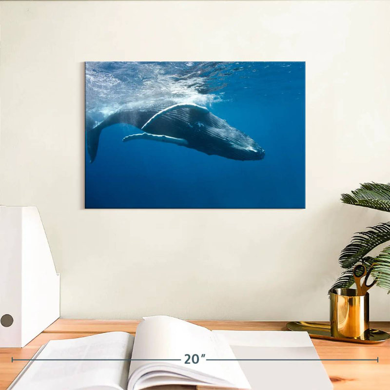 Brampt Humpback Whale, 8" H x 12" W