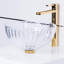 De Medici 13.5'' L Bathroom Sink