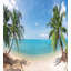 Ensemble de housse de couette ocean-71469242