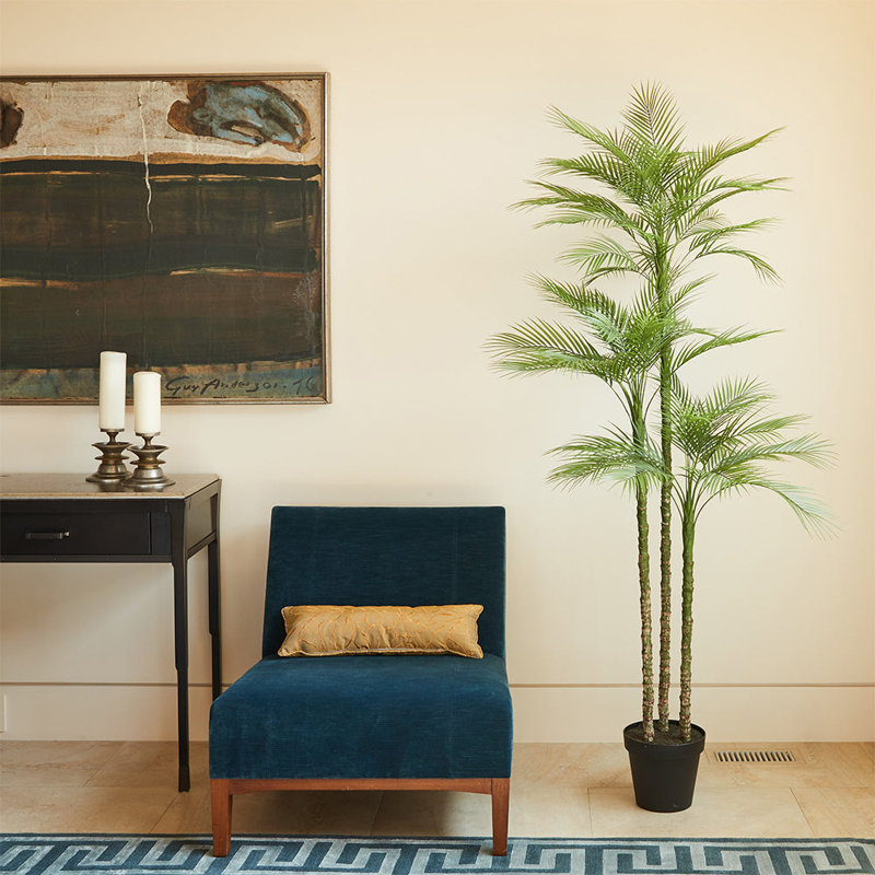 TREE PALM GROWER 7FT