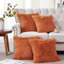 Square Throw Pillow Cover-1297332953