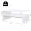 Umana Sled Coffee Table with Storage