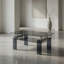 Table basse en verre trempé, table basse moderne en verre pour le salon, table basse à 2 niveaux avec pieds de fumée-540015549
