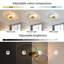 Modern Gold LED 56CM Round Dimmable Flush Ceiling Light