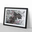 Garden Flowers Vol.2 by Chen Daofu - Picture Frame Painting Print-55578734-55578738