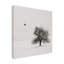 Bolog Lena Weisbek Old Cherry Tree Canvas Art-93222682