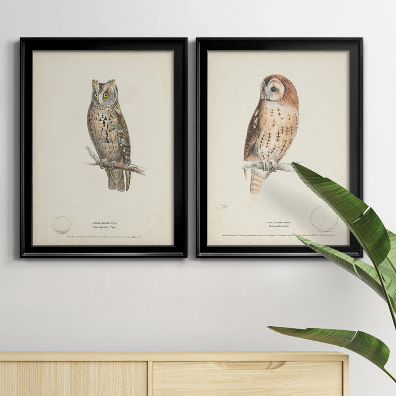 Scops - Eared Owl - Ensemble de 2 peintures sur toile encadrées, Noir, H 36,5 po x l 53 po x P 1 po
