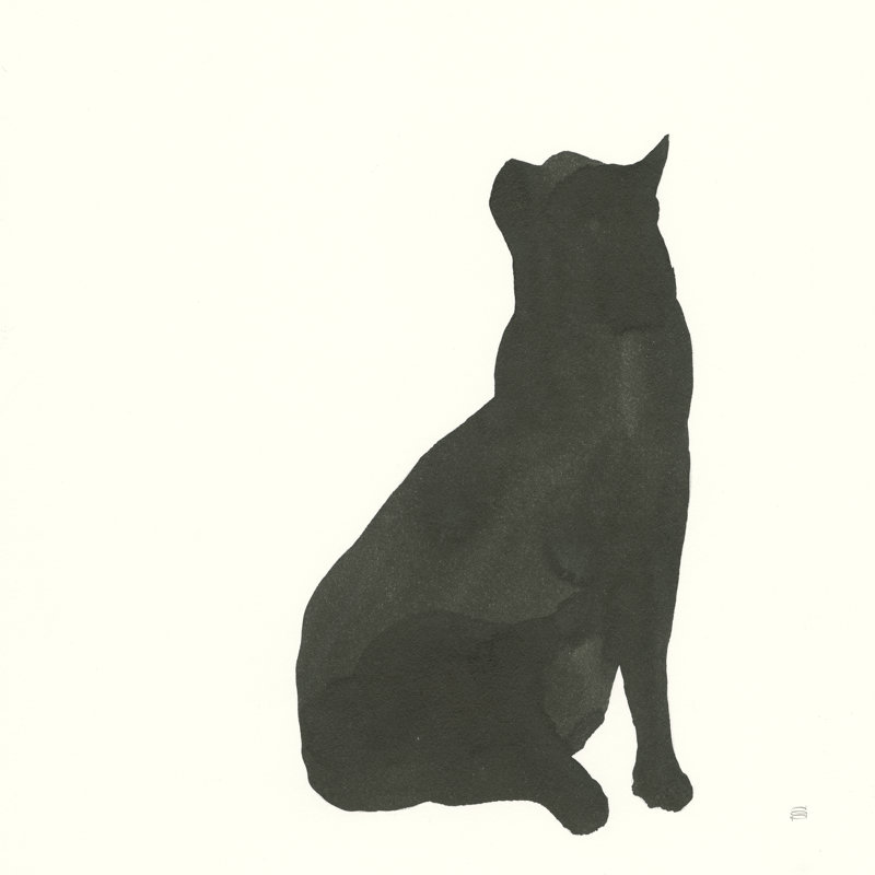 Black Cat II by Chris Paschke - Wrapped Canvas Painting, 51cm H x 51cm W