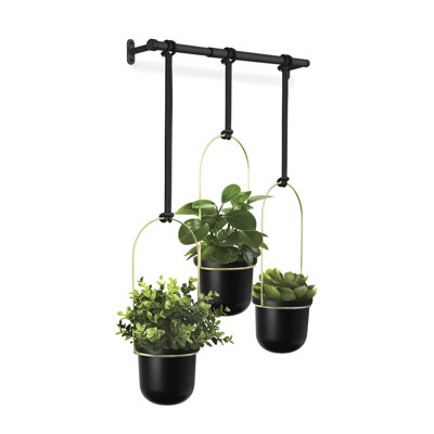Indoor / Outdoor Hanging Planter