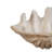 Clemetine Shell Figurine / Sculpture Decorative Object