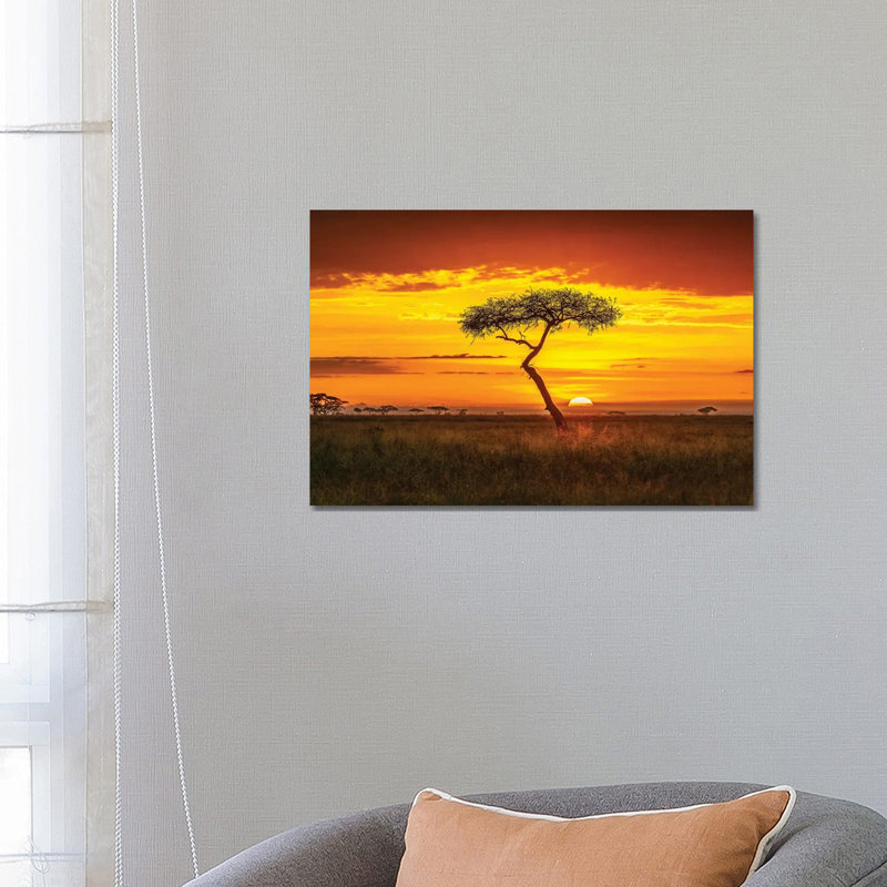 Primordial Africa by Jeffrey C. Sink - Wrapped Canvas Print, 66.04 cm H x 45.72 cm W x 1.91 cm D