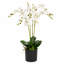 Plastic, Silk Artificial Arrangement in Pot