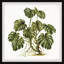 Exotic Palms - reproduction de cadre photo-951736085