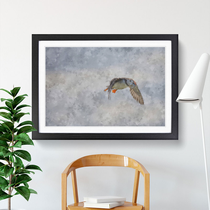 Atlantic Puffin Birds Vol.5 - Picture Frame Graphic Art, 48cm H x 65cm W x 2cm D, Black Framed