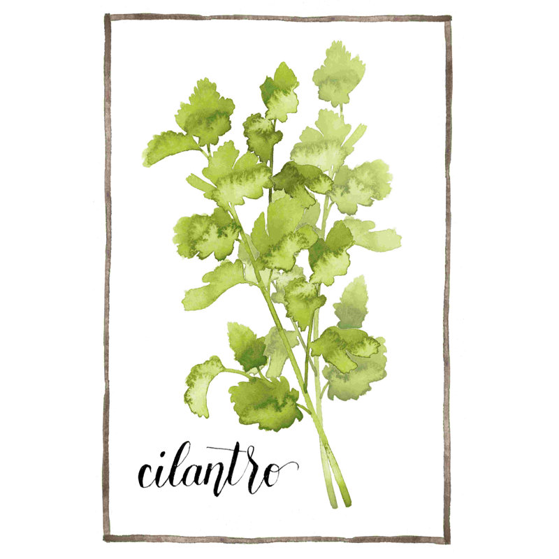 Aquarelle herbes IV, H 18 po x l 12 po