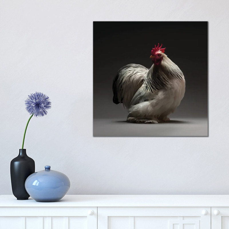 Columbian Cochin Bantam - Wrapped Canvas Print, 45.72 cm H x 45.72 cm W x 1.91 cm D