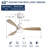 Nicloe 48'' Solid Wood Ceiling Fan with LED Lights-1776296655-1776593450