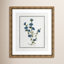 Colombe "Soft Botanical I" Print