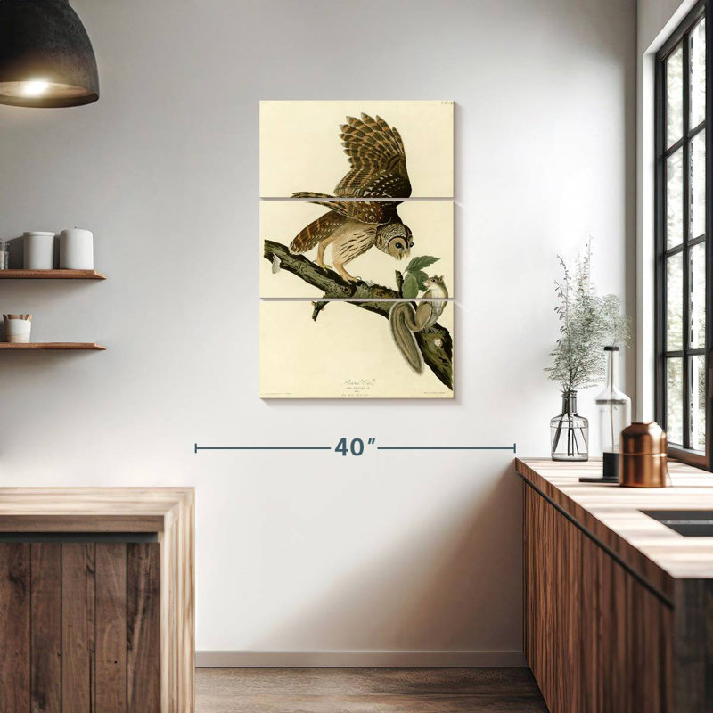 Chouette rayée d'oiseaux d'Amérique, H 38 po x l 24 po