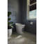 Landshapes By Daniel Arsham One-Piece Elongated Smart Toilet Dual-Flush