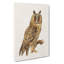 Long-Eared Owl by Von Wright - Wrapped Canvas-55309423