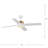 Shaffer II 56'' Ceiling Fan with LED Lights-1976819102