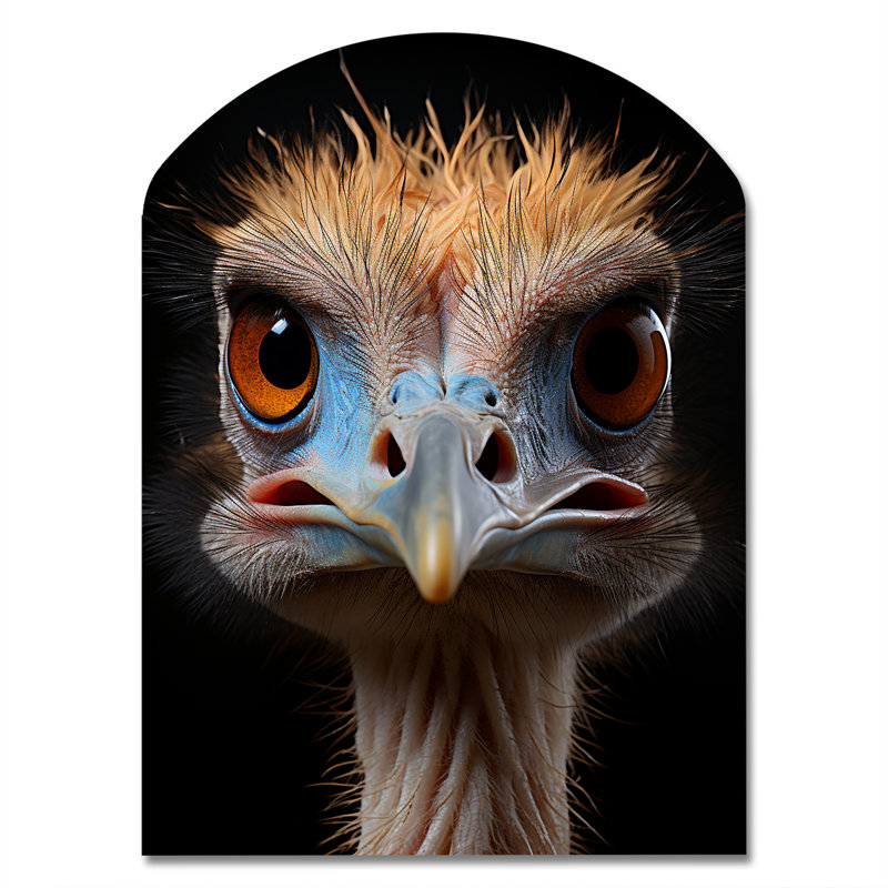 African Ostrich Portrait - Blue Asymmetrical Metal Print Wall Art, Modern Arch Metal Wall Decor, 34" H x 25" W x 1" D