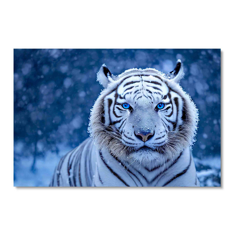 White Snow Tiger, Animal Photography, Acrylic Wildlife Wall Decor, 24" H x 36" W, Unframed