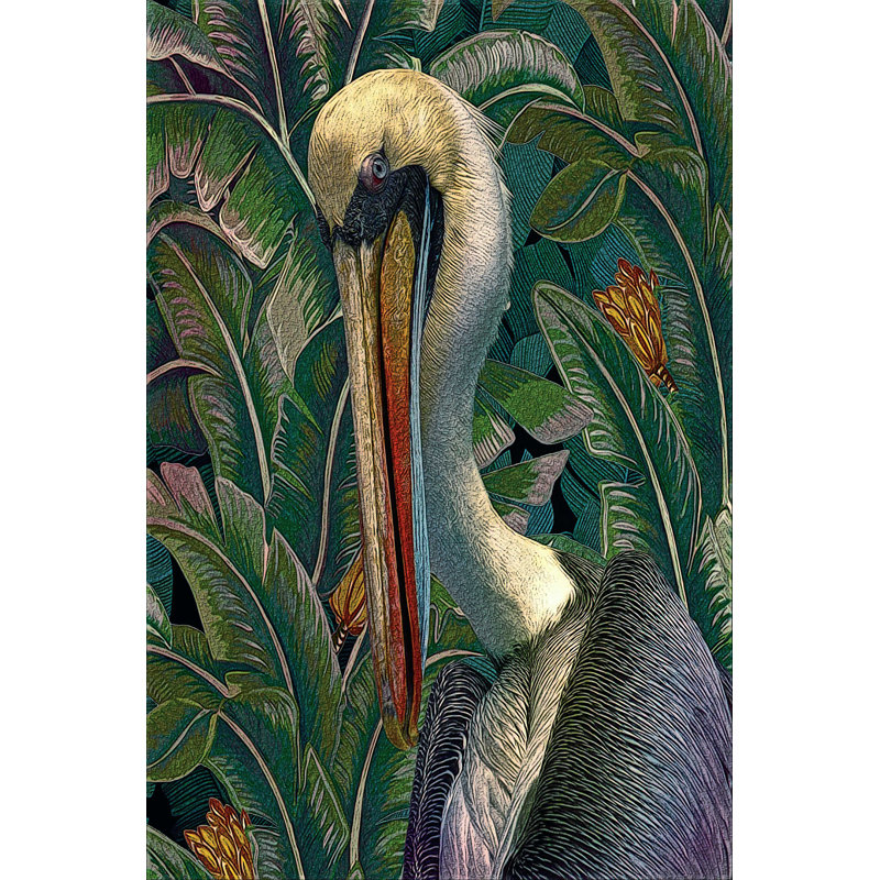 Imprimé Primal Pelicana, H 30 po x l 20 po, Impression encadrée sans passe-partout, Blanc