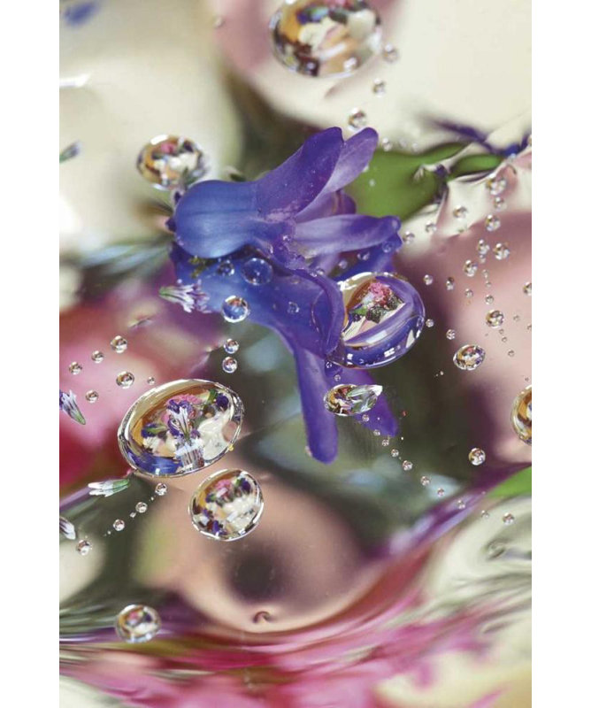 «Latitude Run® Rotenberg, Nancy», art sur toile tendue: Bourbon de jacinthe sur mylar avec reflets