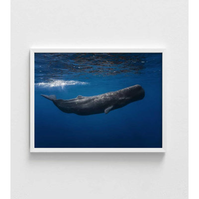 Sperm whale - reproduction d'art sous-marin